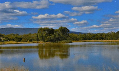 天眼2 txt全集下载及觐天宝匣结局，免费网站大揭秘