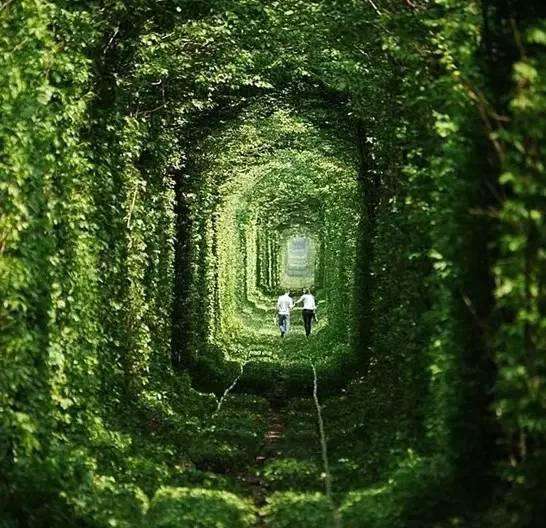 挪威的森林小说：青春情感纠葛，带你走进迷茫又美好的世界