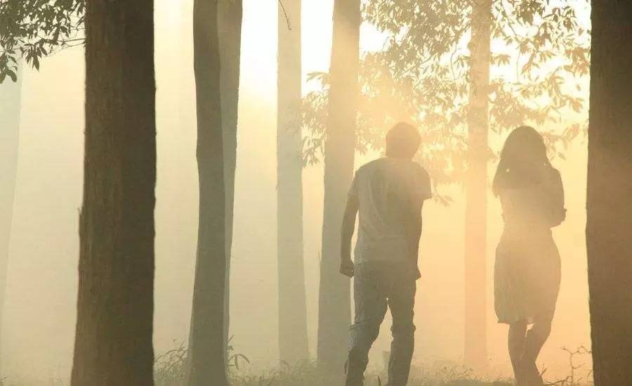 挪威的森林 村上春树 小说情节 _挪威的森林小说下载_ 挪威的森林 村上春树 主题分析 