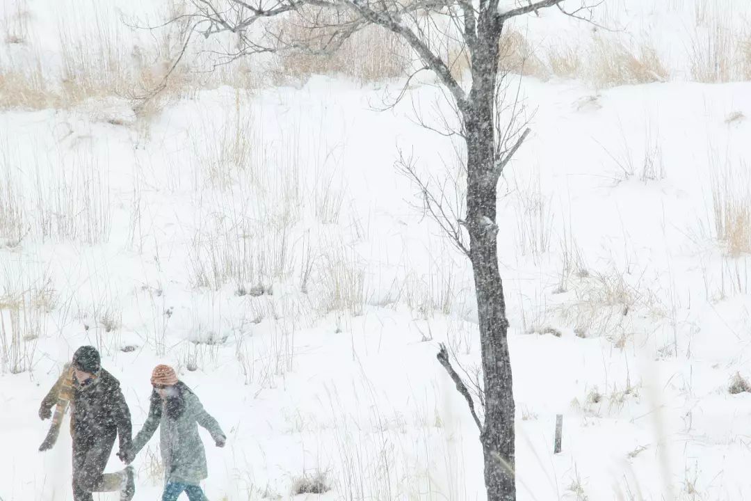  挪威的森林 村上春树 主题分析 _挪威的森林 村上春树 小说情节 _挪威的森林小说下载