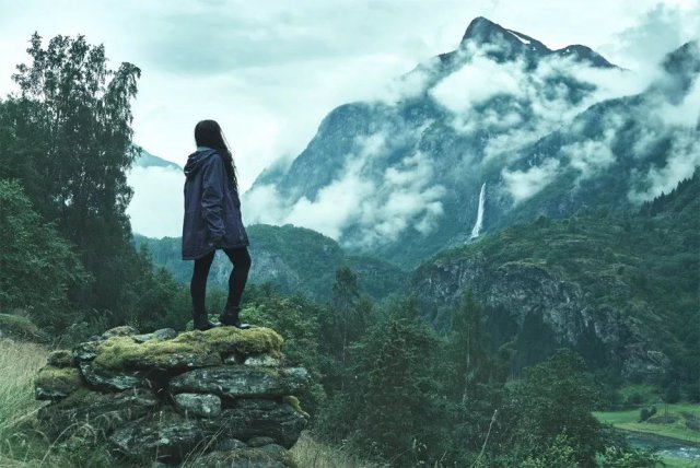  挪威的森林 村上春树 主题分析 _挪威的森林小说下载_挪威的森林 村上春树 小说情节 