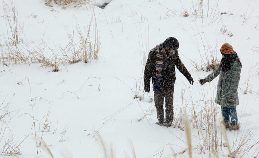 挪威的森林 村上春树 小说情节 _ 挪威的森林 村上春树 主题分析 _挪威的森林小说下载